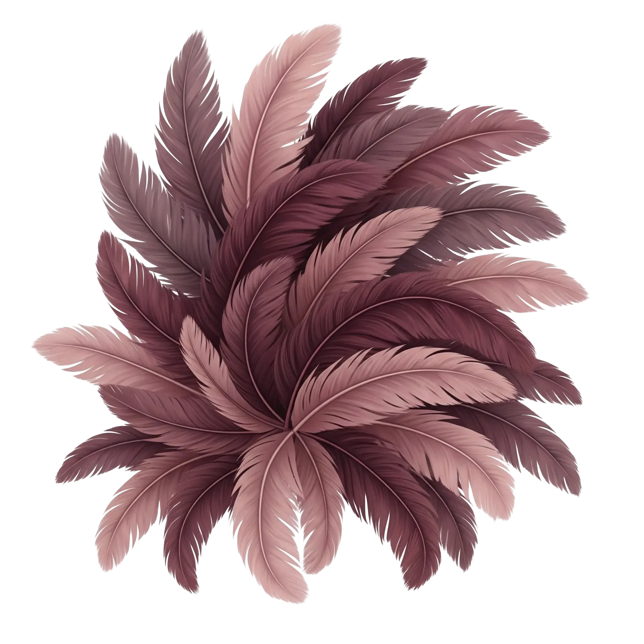 Decoración de plumas